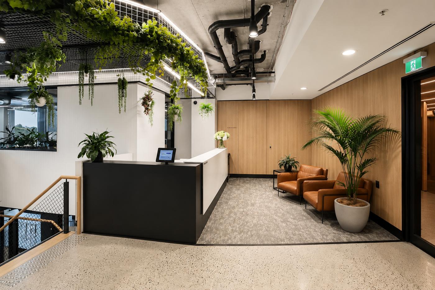 W.hub reception desk with hanging plant feature in Elsternwick Village